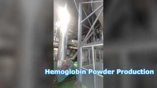 Hemoglobin powder producing