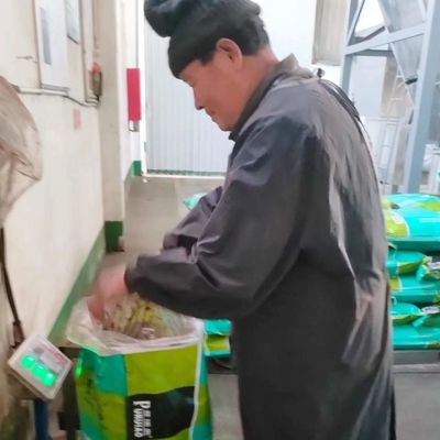 30kg Poultry Feed Healthy Dog Food Additives Blood Meal Powder
