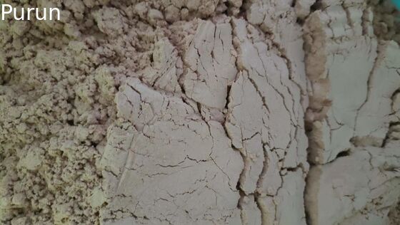 Poultry Feed Additives Manufacturers Spray Dried Duck Plasma Protein Powder, Advanced Processing Technology, Instant Hig