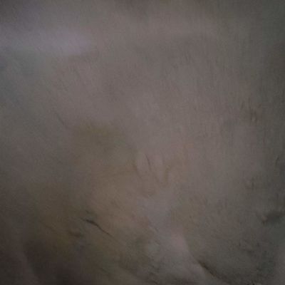 Duck Blood Cell Animal Feed Powder Blood Meal For Poultry Feed Protein Powder