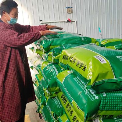 Livestock Protein Feed Spray Dried Plasma Protein Blood Meal For Poultry