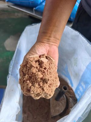 High Protein Pet Food Additives For Dogs And Safe Nutrition