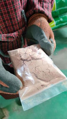 Salmonella Not Detectable Spray Dried Animal Plasma with Special Odor Of Blood Products