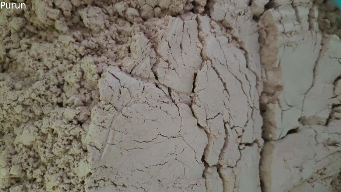 Poultry Feed Additives Manufacturers Spray Dried Duck Plasma Protein Powder, Advanced Processing Technology, Instant Hig