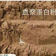 Poultry Feed Additives Manufacturers Spray Dried Duck Plasma Protein Powder, Advanced Processing Technology, Instant Hig