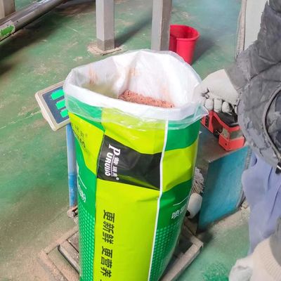 Freshness Spray Dried Plasma Protein Feed Additive Poultry Blood Meal